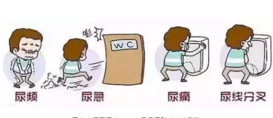 滄州男性的前列炎哪看好？保養(yǎng)前列腺的方法(圖1)